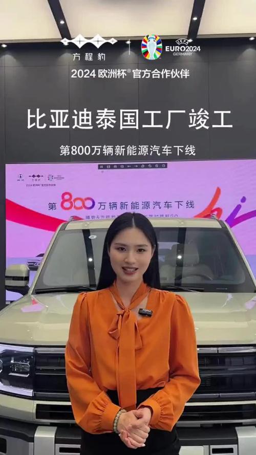 從南寧到羅勇 比亞迪的800萬輛與一場靜悄悄的全球化